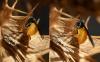 216986 – Photo : Liliane Delattre – France (30)